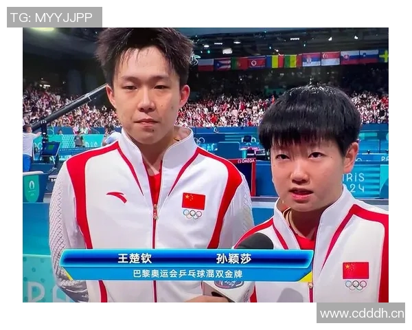 总冠军之路：从挑战到荣耀，见证无数拼搏与荣耀时刻