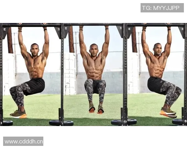 探索健身器材的多样选择与高效使用技巧助力健身目标的实现