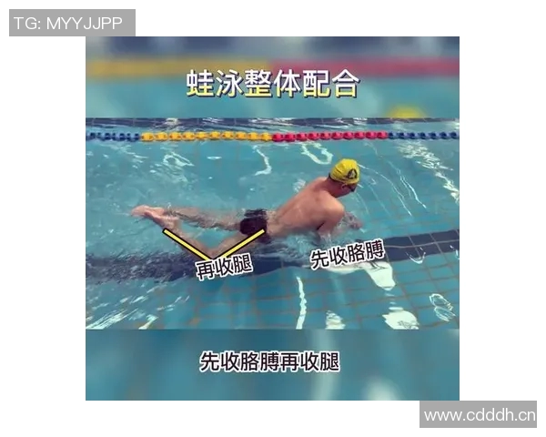 蛙泳训练技巧全解析提升速度与耐力的科学方法