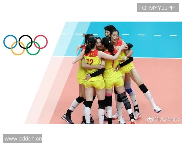 深圳排球队创历史新高排球力量排名再创新辉煌